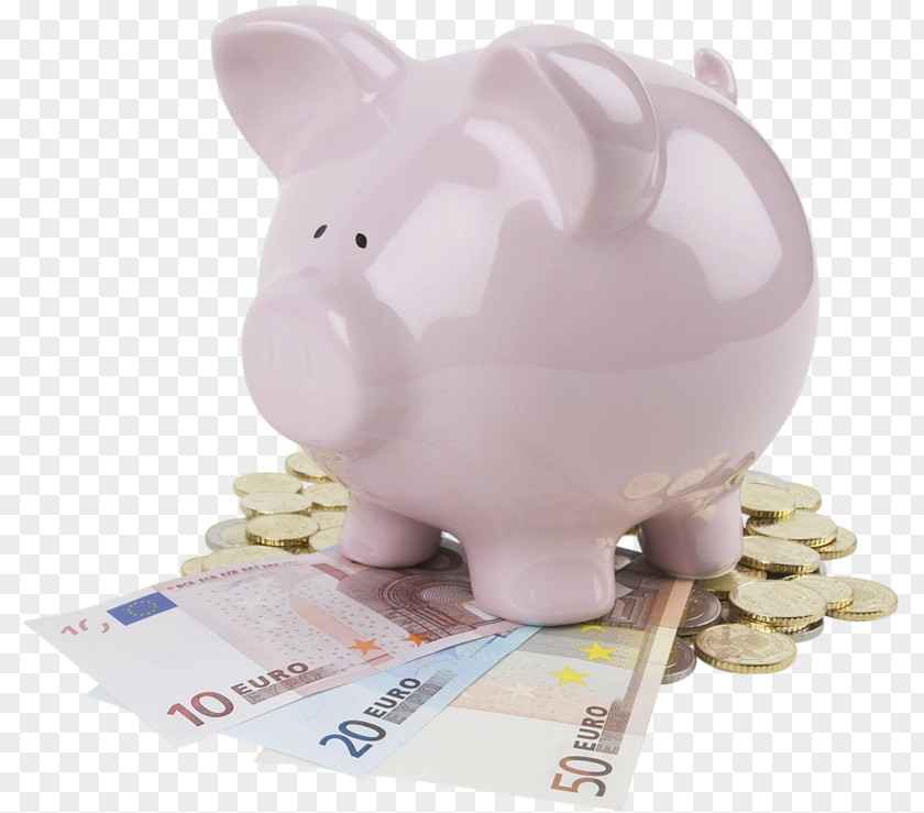 Piggy Bank Germany Steuern: Einfxfchrung In Die Betriebswirtschaftliche Steuerlehre Externes Rechnungswesen Finanzierung Xdcbungen PNG