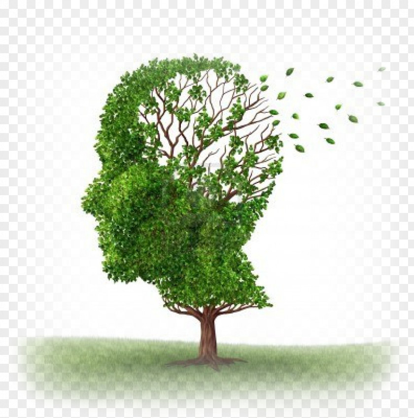 Short-term Memory Amnesia Alzheimer's Disease Long-term PNG