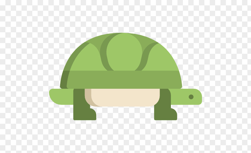 Turtle Amphibian Hat Font PNG