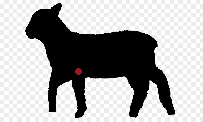 Been Cattle Agneau Chateaubriand Steak Lamb And Mutton Sheep PNG