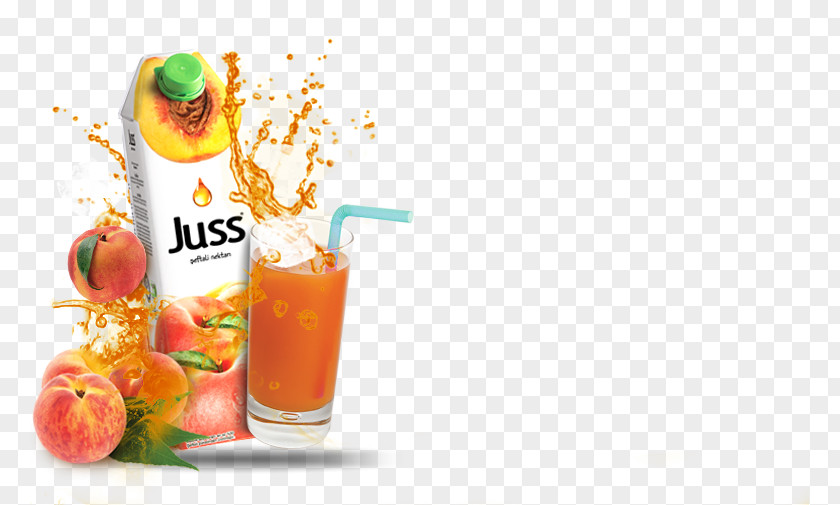 Juice Nectar Orange Drink Bloody Mary Non-alcoholic PNG