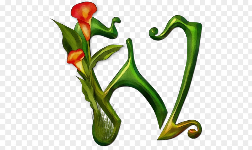 Plant Stem Nepenthes Watercolor Flower Background PNG