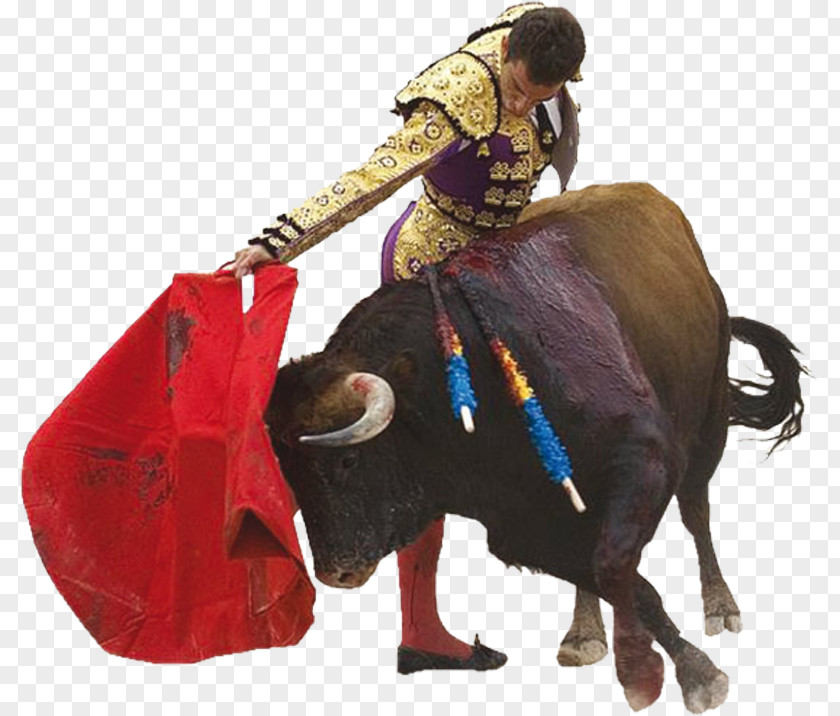 Spanish Bullfighting Theme Wind Creatives Spain Fighting Bull Spanish-style PNG