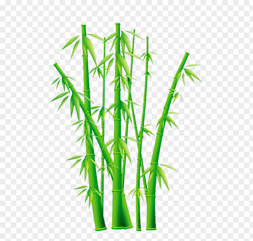Bamboo Plant Clip Art Vector Graphics Image PNG