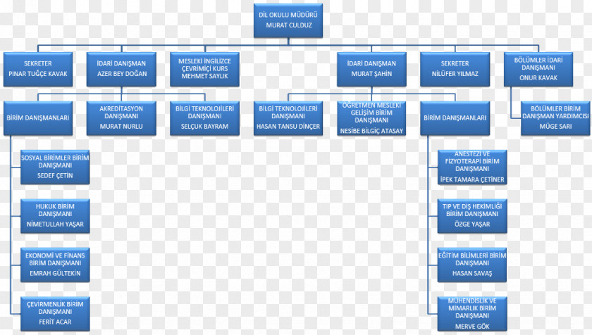 Business Organizational Chart Management University PNG