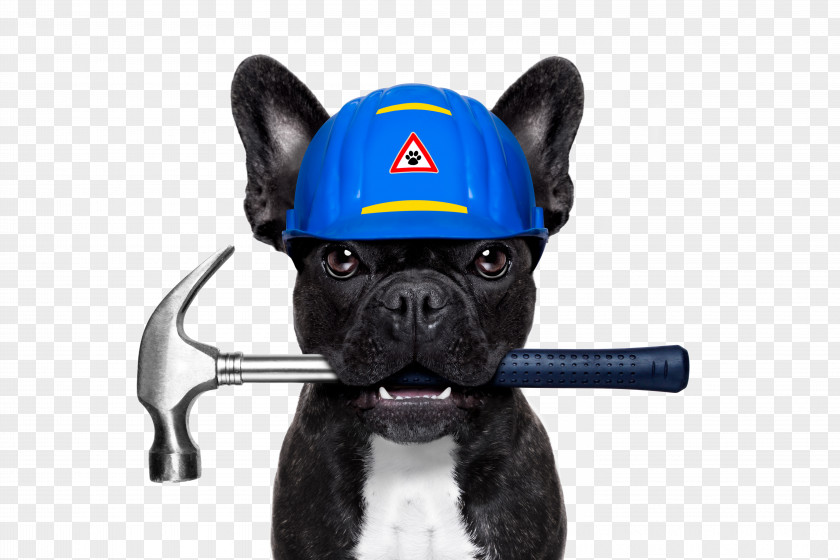 Creative Puppy Anthropomorphic Image Design Erector French Bulldog Dog Daze Industrial Plumbing Stock Photography PNG
