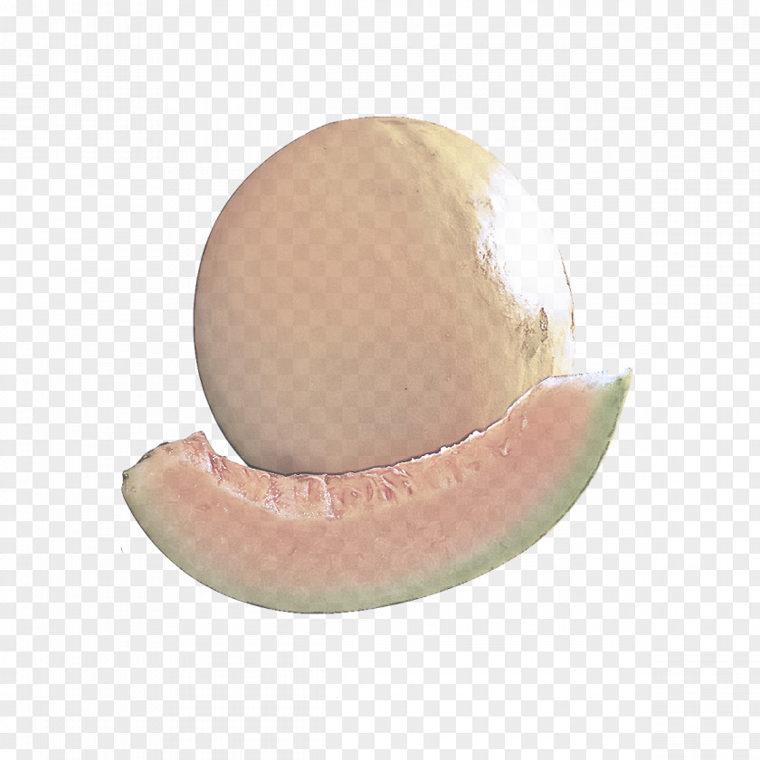 Egg Jaw PNG
