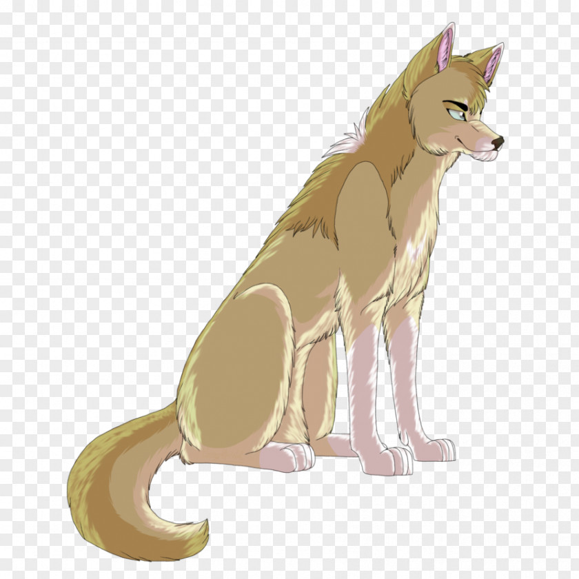 Eminem Red Fox Cat Canidae Mammal PNG