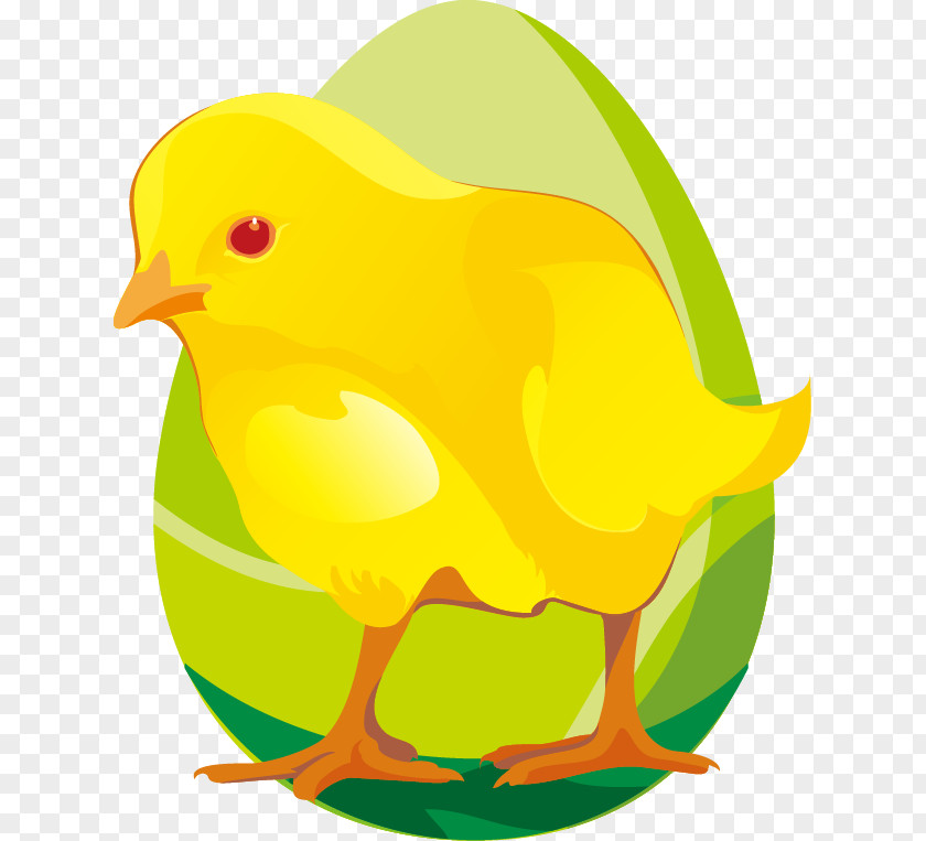 Hand-painted Eggs Chick Green Pattern Chicken Paper Cartoon Postcard Clip Art PNG