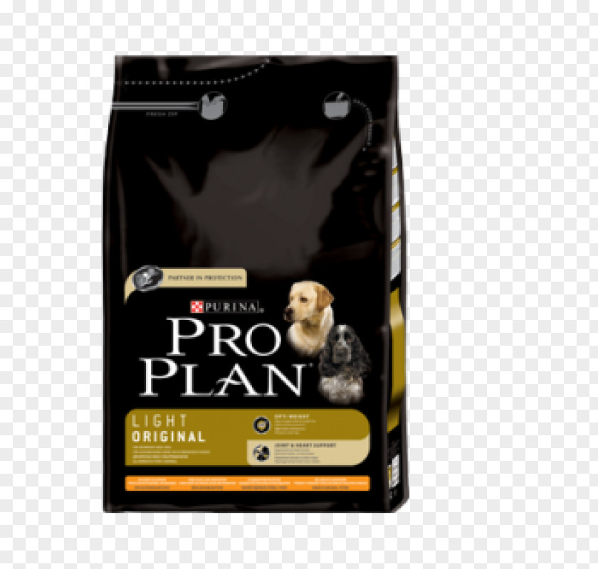 Puppy Dog Food Cat Breed PNG