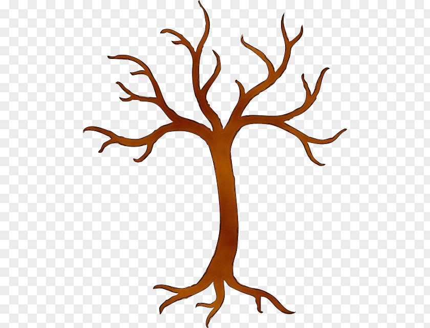 Twig Plant Stem Tree Trunk Drawing PNG