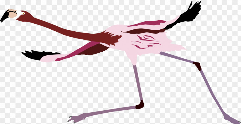 American Flamingo Pink M Beak Neck PNG