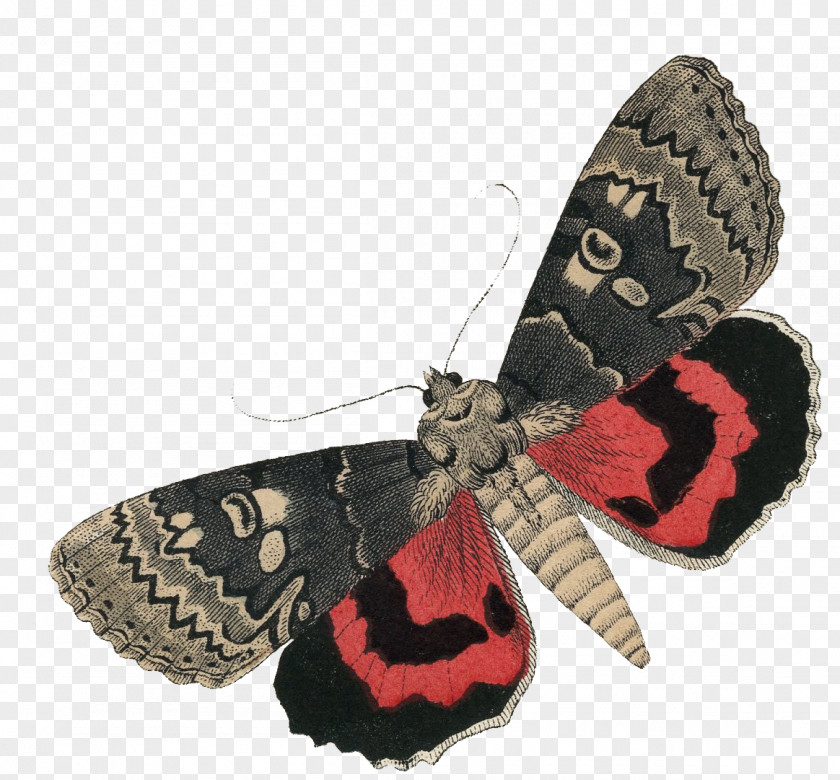 Butterfly Headdress Moth Blanket PNG