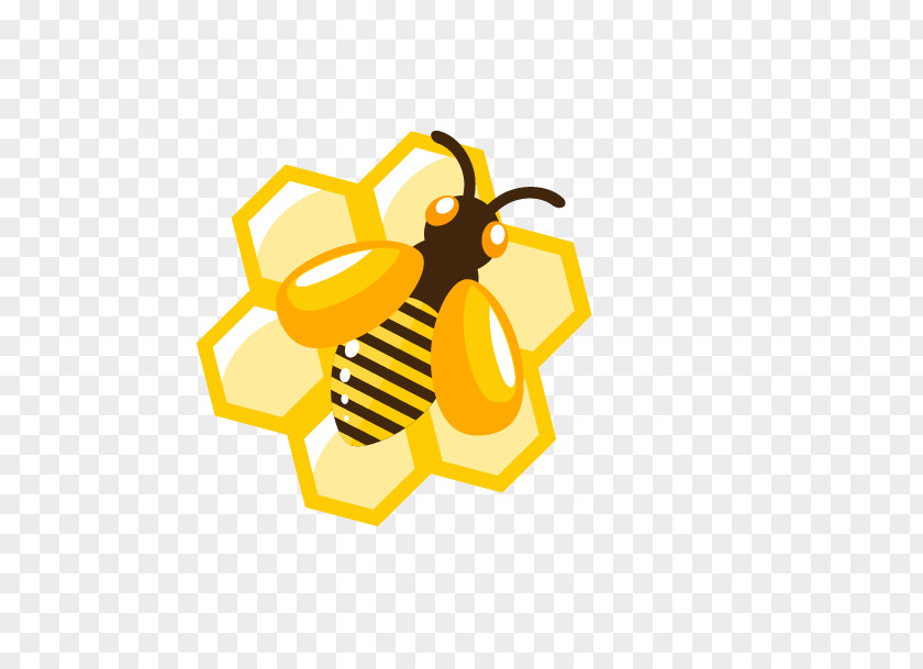 Cartoon Honey Bee Honeycomb PNG