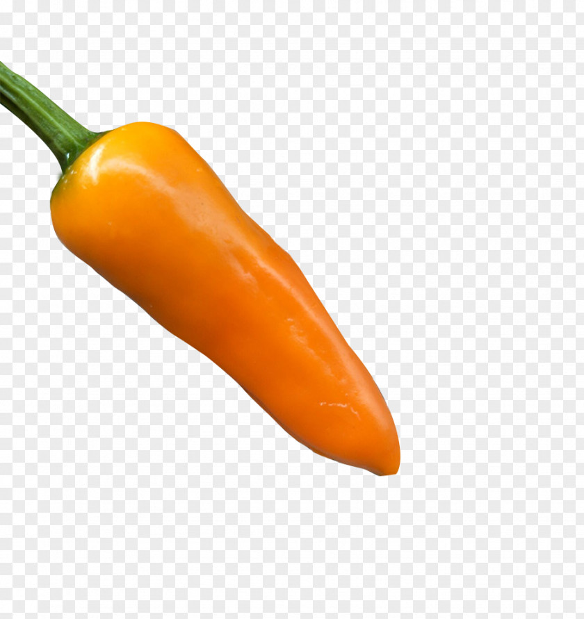 Real Bullets Yellow Pepper Habanero Serrano Cayenne Bell Jalapexf1o PNG