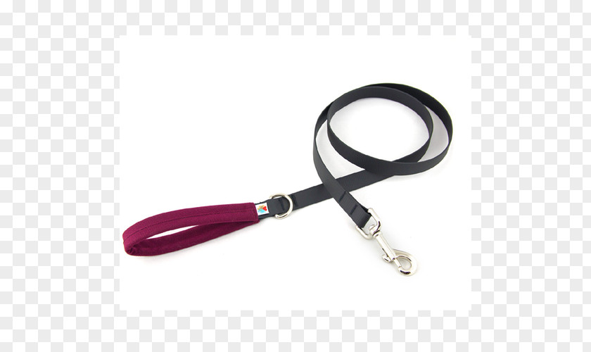 Dog Lead Leash Computer Hardware PNG