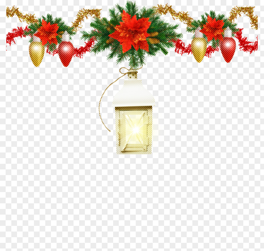 Holly Flower PNG
