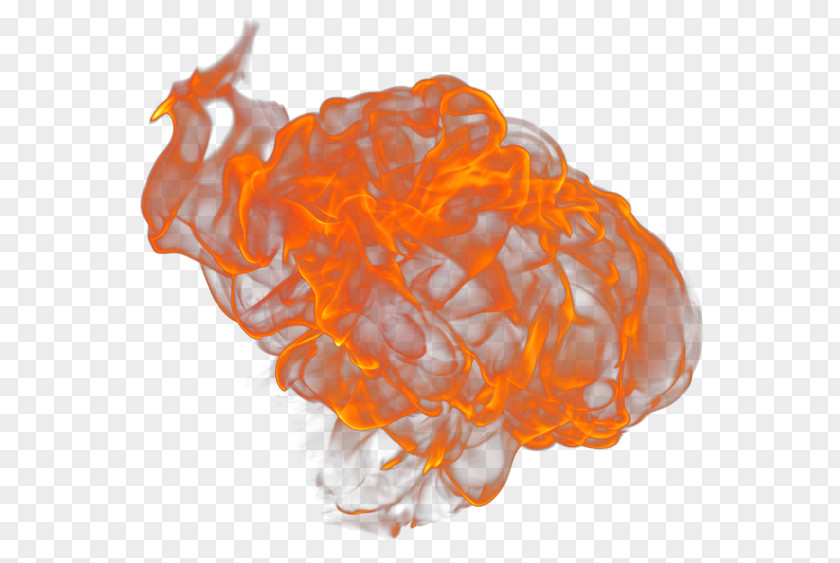 Organism Orange S.A. PNG