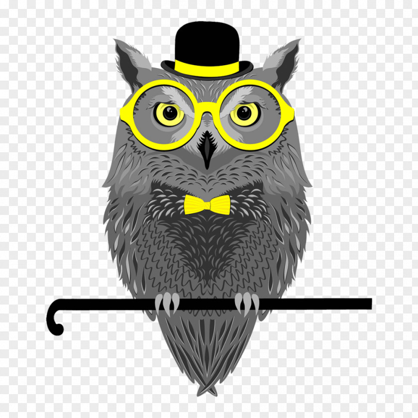 Owls Owl Stock Photography Glasses PNG