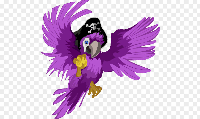 Pirate Parrot Transparent Piracy Clip Art PNG