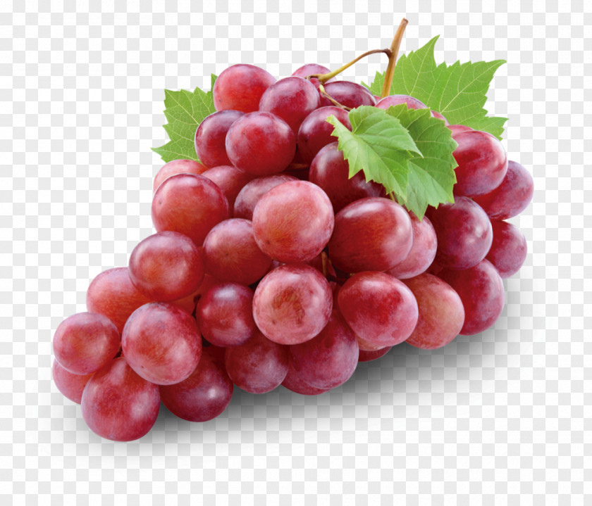 Red Grape Wine Juice Shiraz Globe PNG