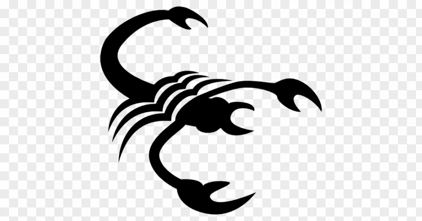 Scorpio Astrological Sign Zodiac PNG