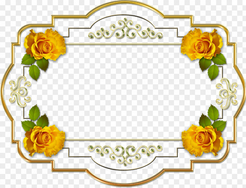Yellow Frame Picture Frames Yandex Search PNG