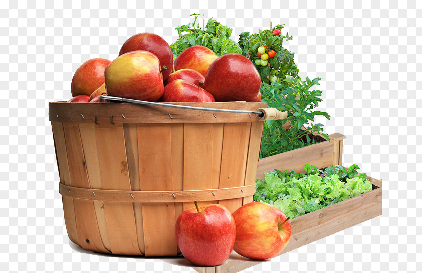 Barrels Of Apples Raised-bed Gardening Fence The Home Depot PNG