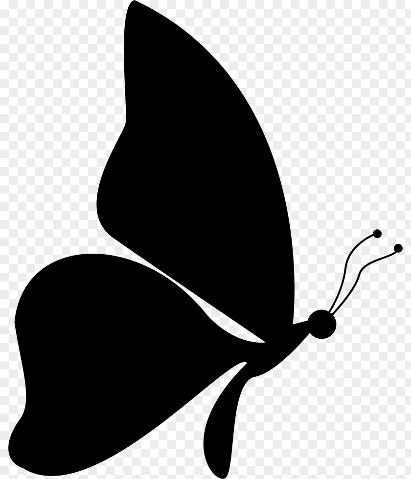 Butterfly Clip Art Vector Graphics Silhouette Royalty-free PNG