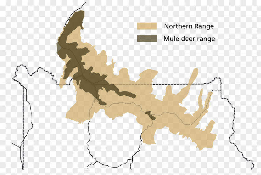 Deer White-tailed Mule National Bison Range PNG