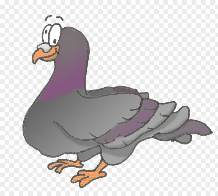 Duck Rooster Flightless Bird Clip Art PNG