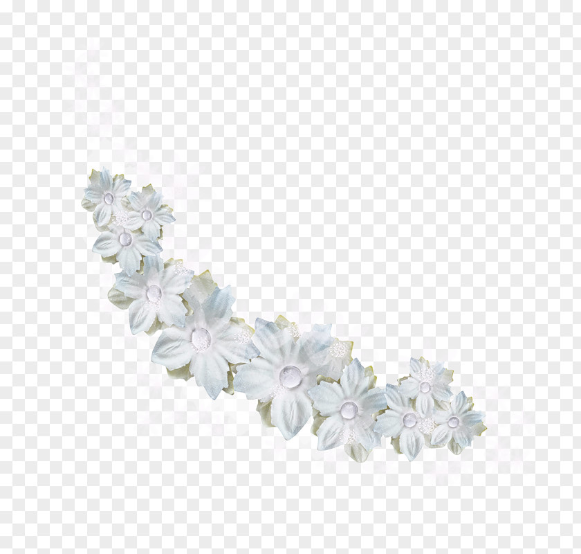 Flower White Petal PNG