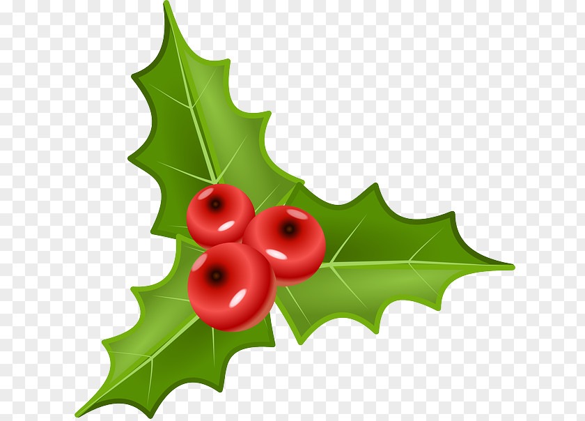 Red Holly Berry Christmas Graphics Clip Art Designs Mistletoe PNG