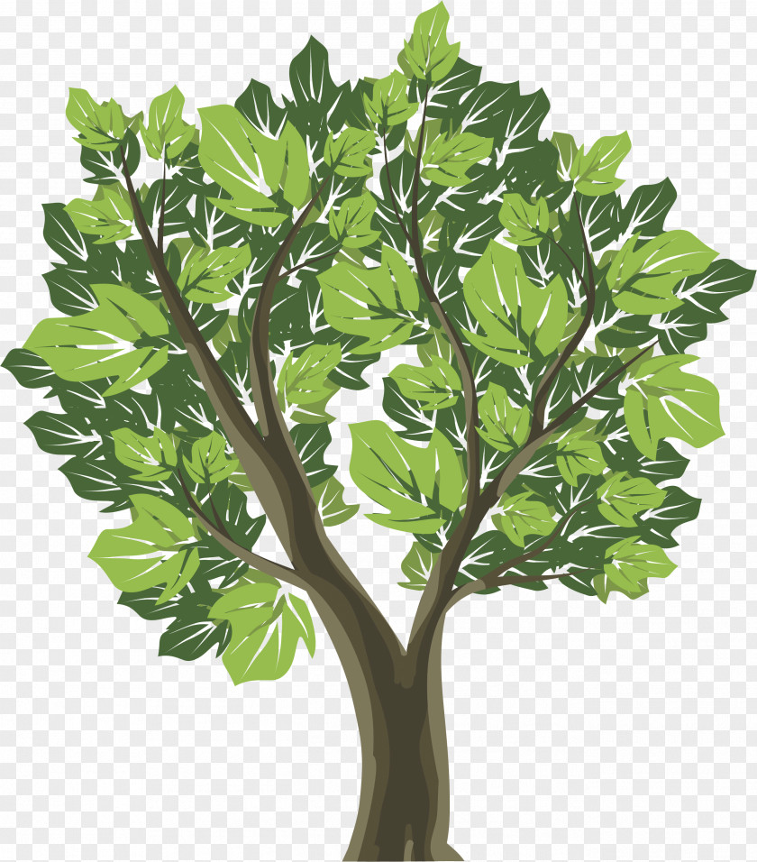Tree Graphic Design Royalty-free PNG