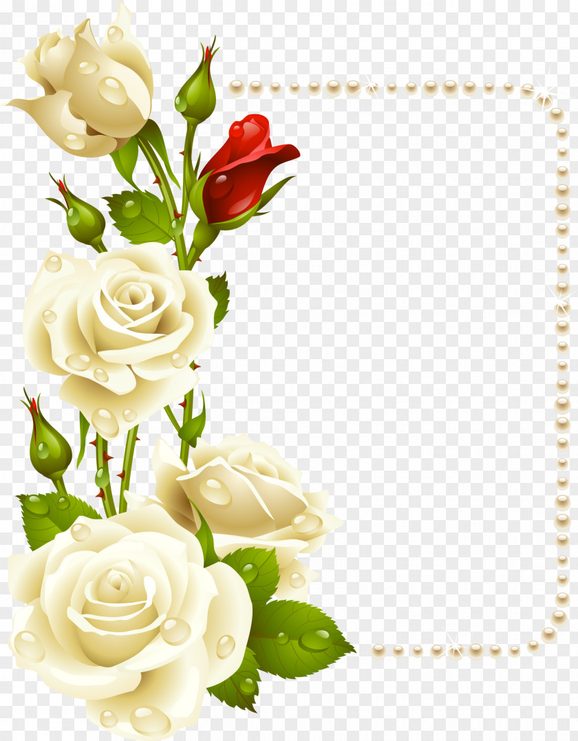 White Roses With Pearls Card Rose Picture Frame Clip Art PNG
