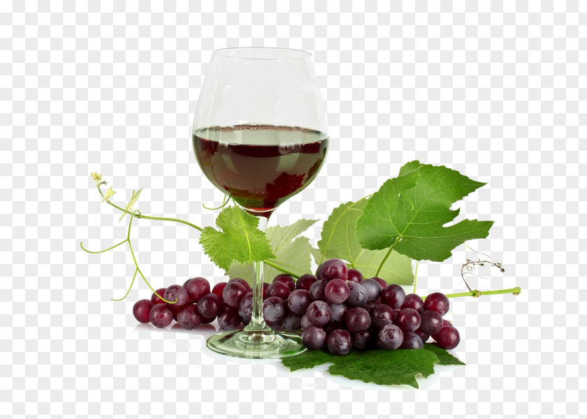 Wine Red Beer Common Grape Vine White PNG