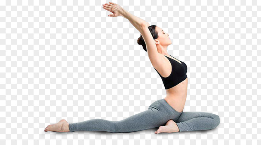 Yoga Ashtanga Vinyasa Alliance Exercise PNG