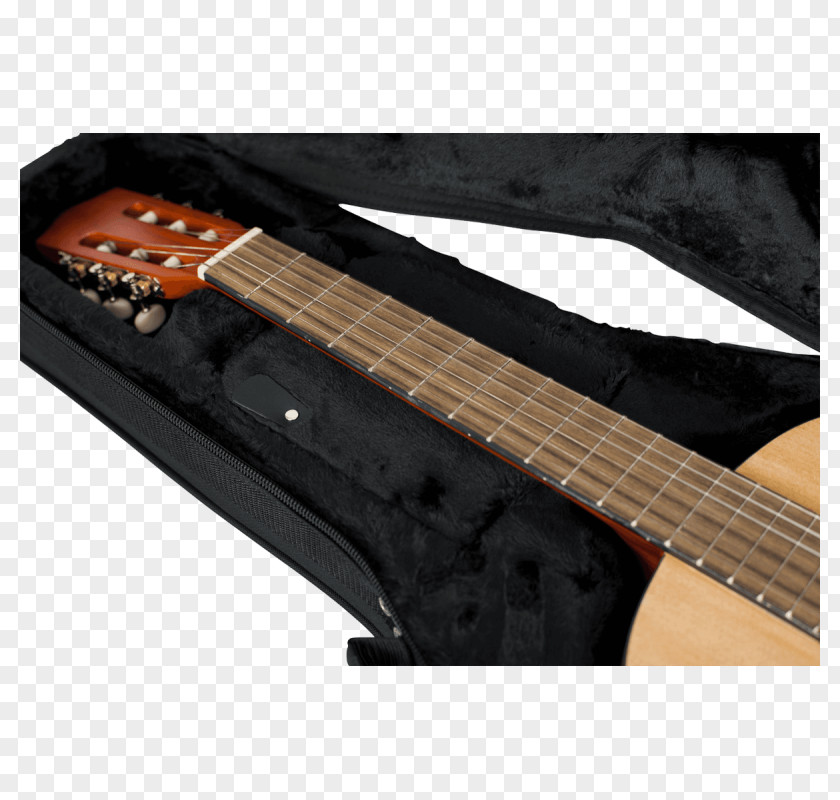 Bass Guitar Electric Acoustic Classical PNG