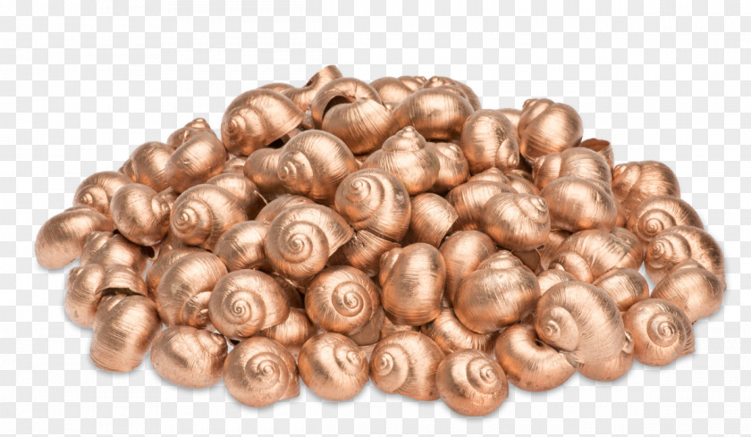 Camarão Copper Ingredient Material PNG