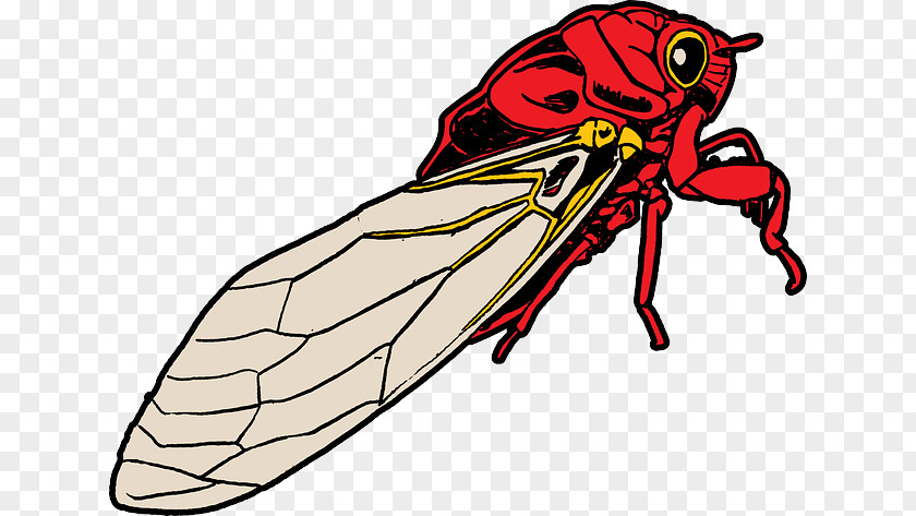 Cicada Cicadidae The Cry Of Cicadas Insect Cartoon Clip Art PNG