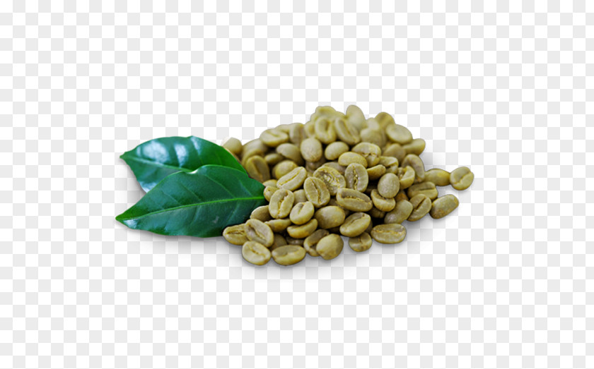 Coffee Green Extract Tea Cafe PNG