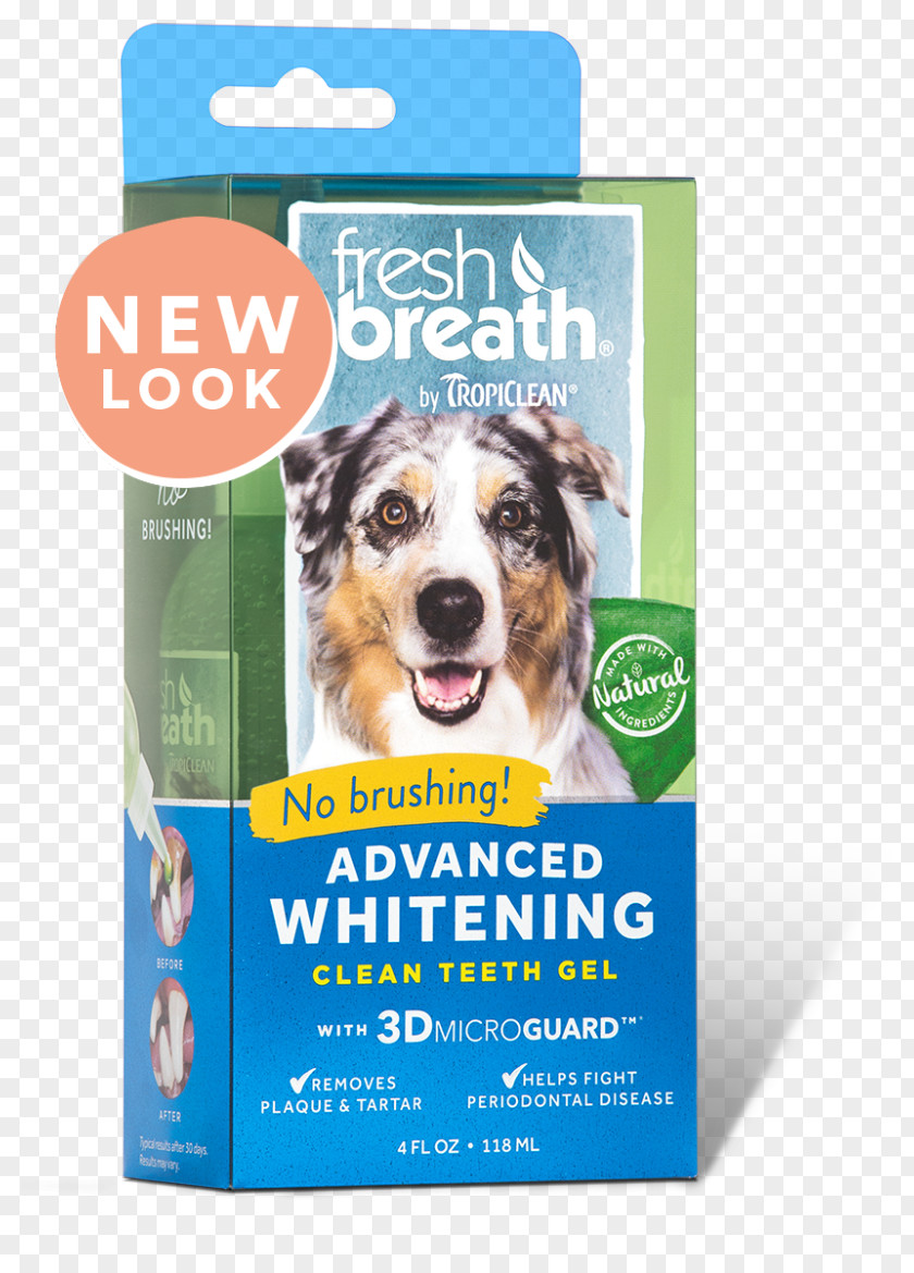 Dog Teeth Cleaning Tooth Whitening Cat Oral Hygiene PNG cleaning whitening hygiene, clipart PNG