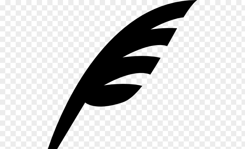 Feather Drawing Quill PNG