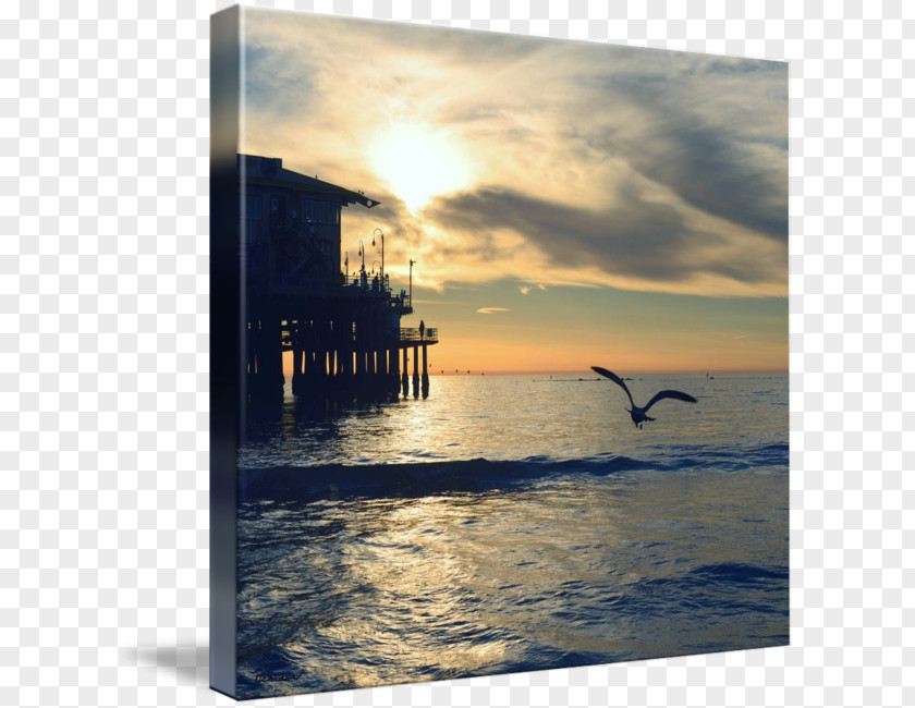 Seascapes Quotation Photography Individual One Never Reaches Home, But Wherever Friendly Paths Intersect The Whole World Looks Like Home For A Time. PNG