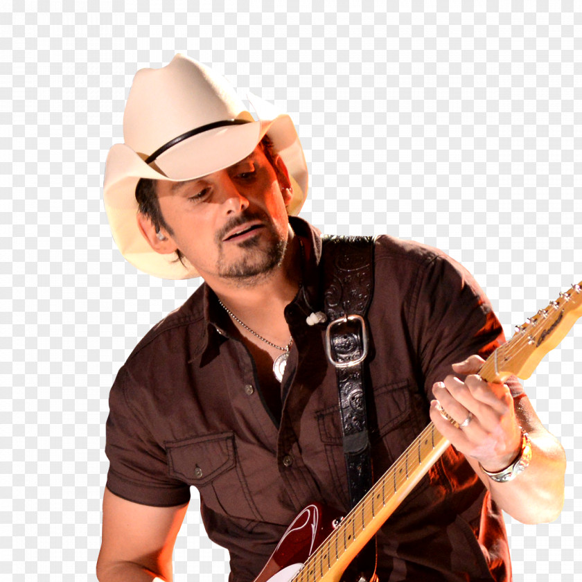 Bass Guitar Brad Paisley Musician Artist PNG