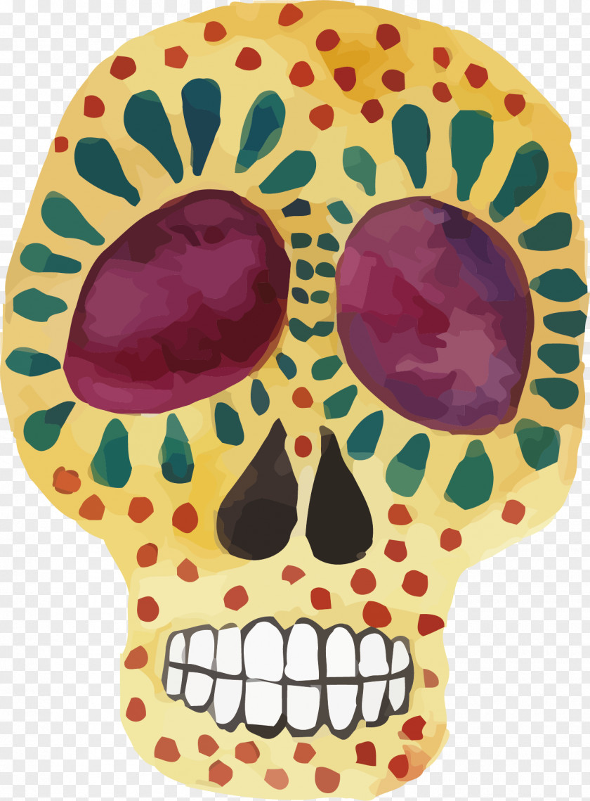 Colored Skeleton Vector Skull Illustration PNG