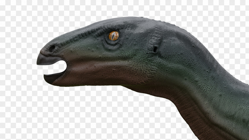 Dinosaur Camptosaurus Geological Period Product Jurassic PNG