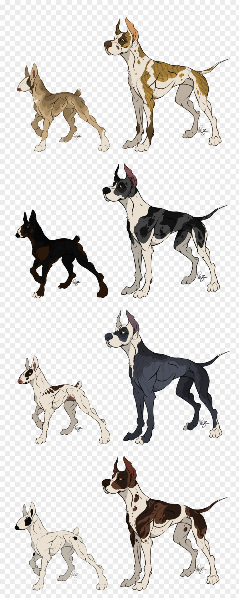 Dog Breed Whippet Crossbreed 08626 PNG