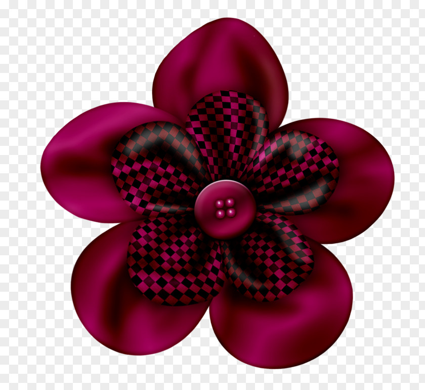 Flower Petal Cut Flowers PNG