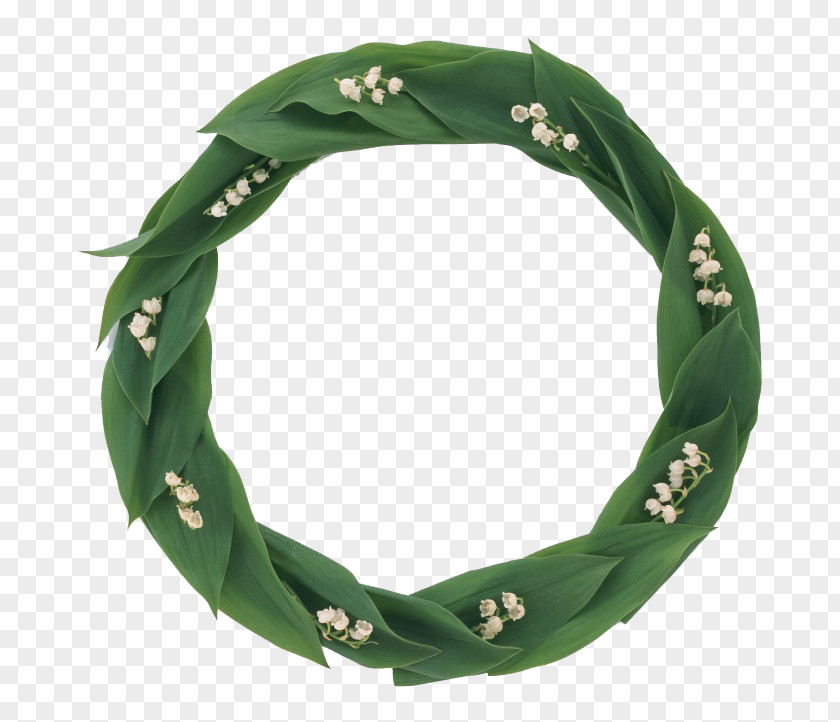Garland Lily Of The Valley PNG